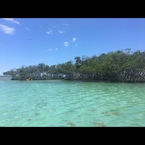 Meet your Posher, Matt